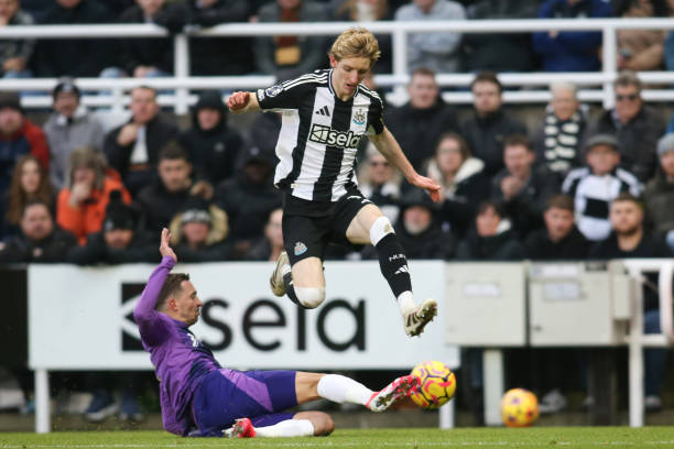 拜仁引援 拜仁引援