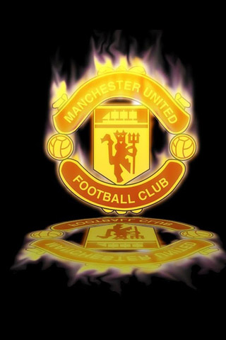 虽称不上辉 虽称不上辉